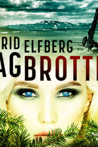 SOUTHSIDE ELFBERG DAGBROTTET audio