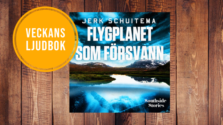 Flygplanet som försvann av Jerk Schuitema